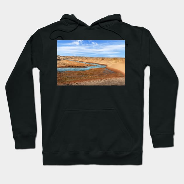 The Gobi. Hoodie by bulljup